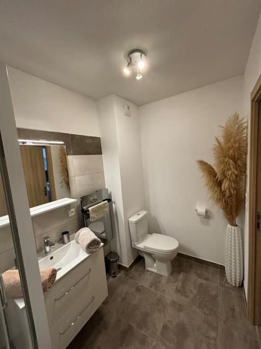 Jolie Appartement En Residence Бастия Экстерьер фото